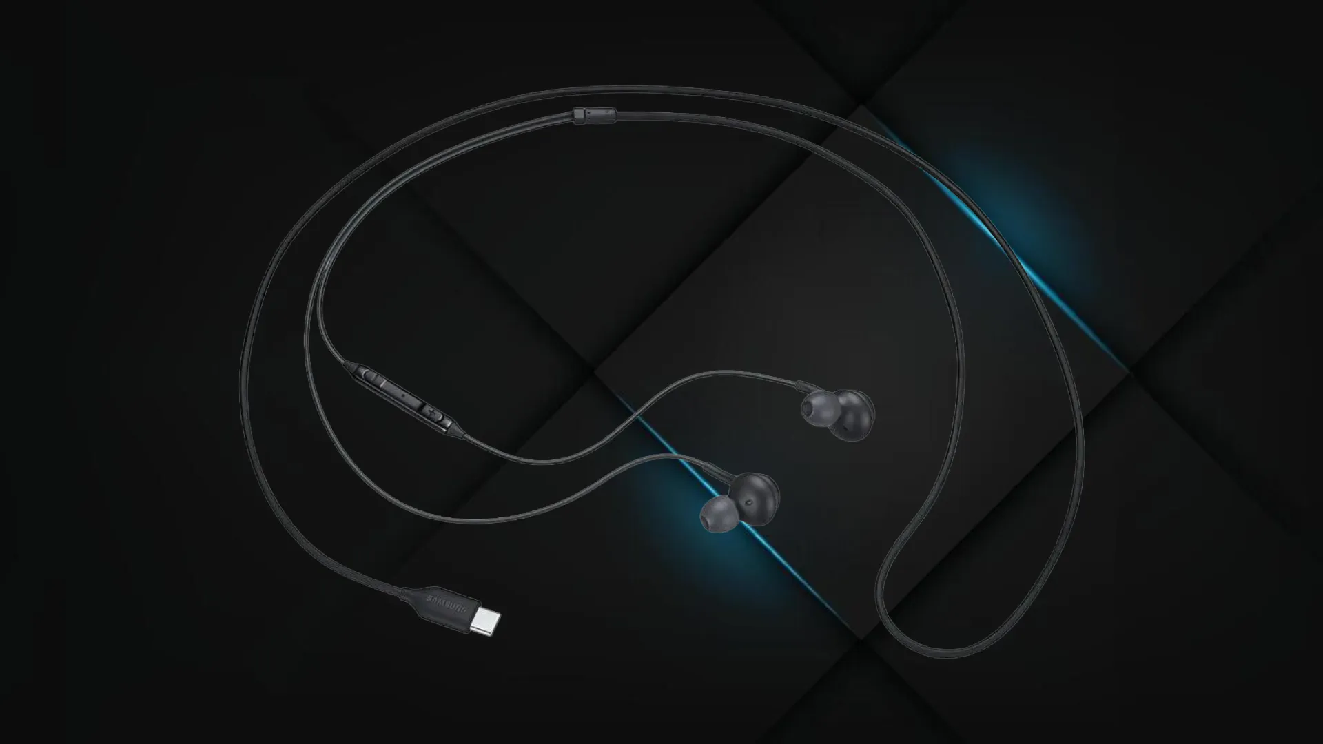 Навушники Samsung IC100B Type-C (Black)