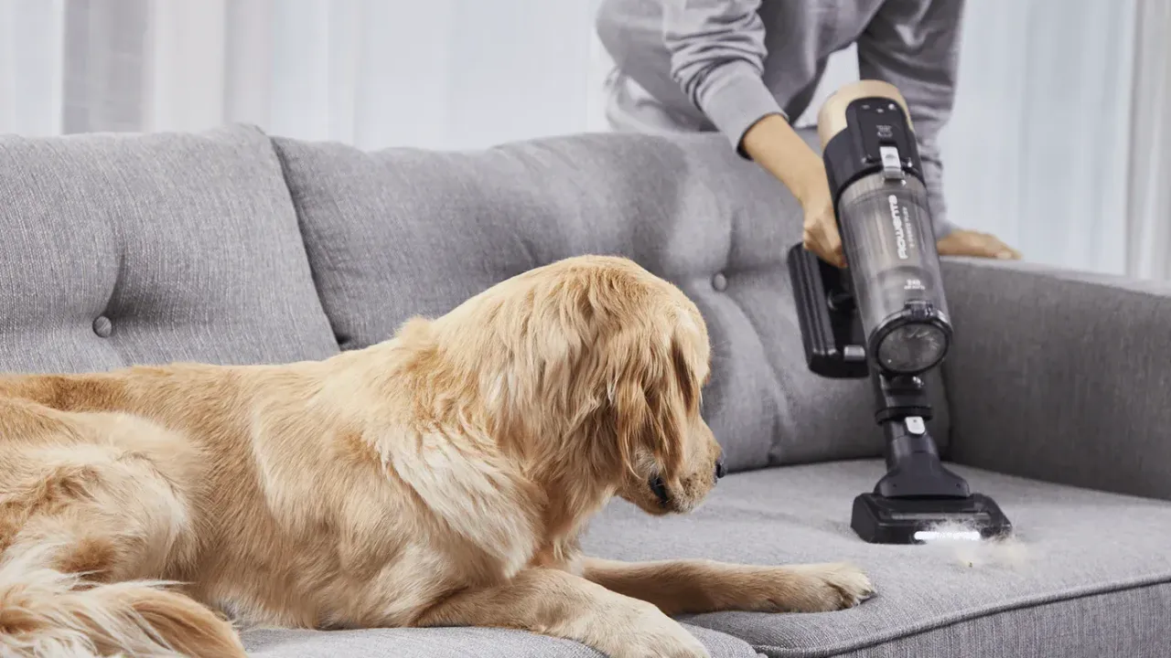 Акумуляторний пилосос Rowenta X-Force 14.80 Auto Animal (RH9B74WO)