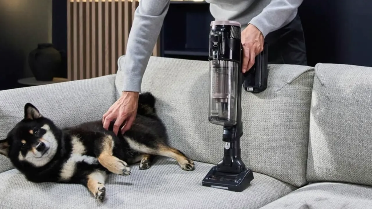 Акумуляторний пилосос Rowenta X-Force Flex 16.60 Aqua Animal (RH9CD9E0)