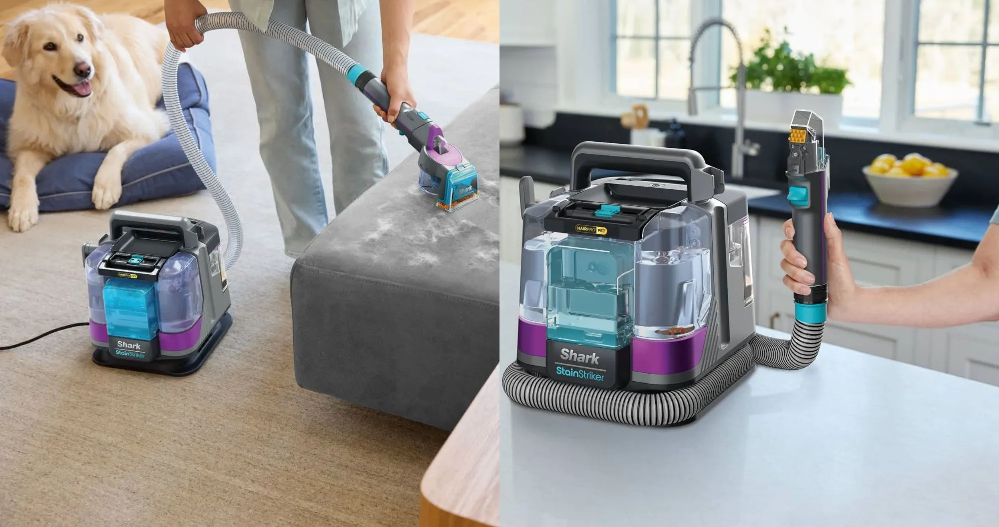 Моющий пылесос и пятновыводитель Shark (PX250EUT)