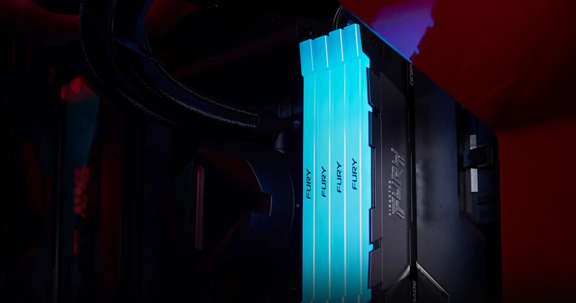 Оперативная память Kingston Fury Renegade RGB DDR4 16GB 2x8GB 3600MHz (KF436C16RB2AK2/16)