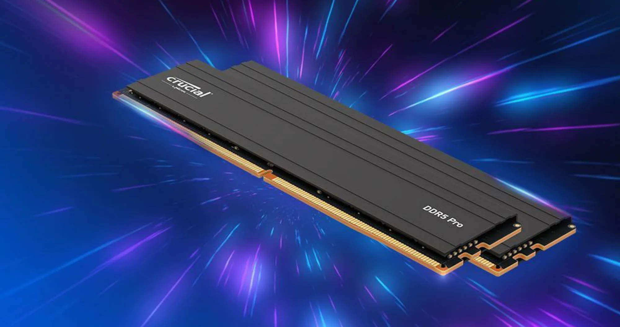 Оперативна памʼять Crucial Pro DDR5 48GB 2x24GB 5600MHz (CP2K24G56C46U5)
