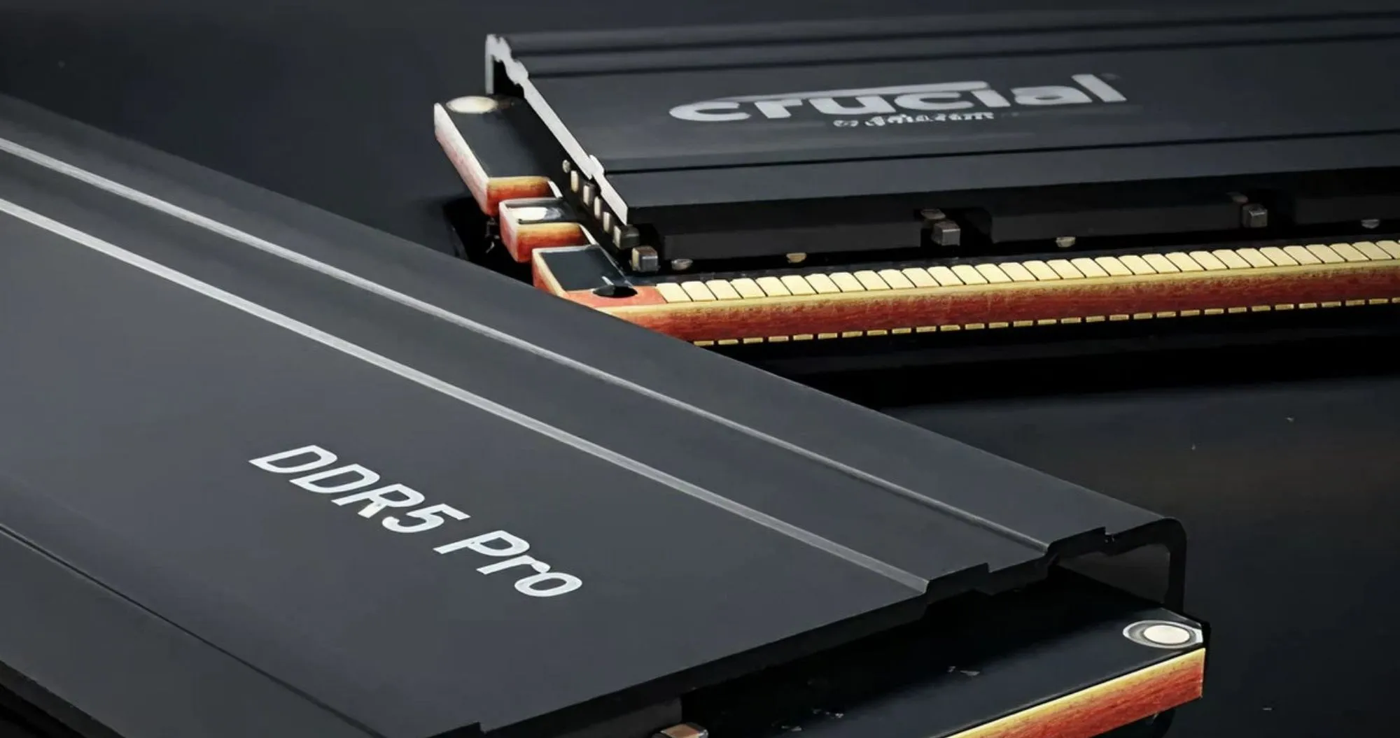 Оперативна памʼять Crucial Pro DDR5 48GB 2x24GB 5600MHz (CP2K24G56C46U5)