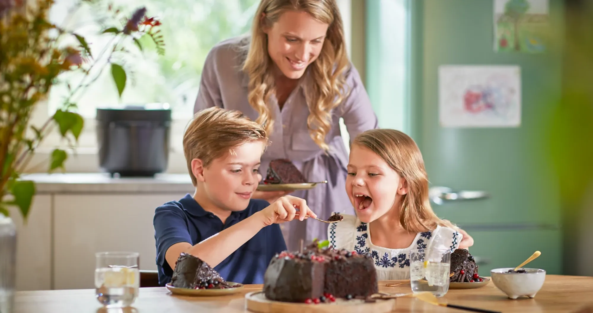 Мультиварка-скороварка Philips All-in-One Cooker HD2151/40