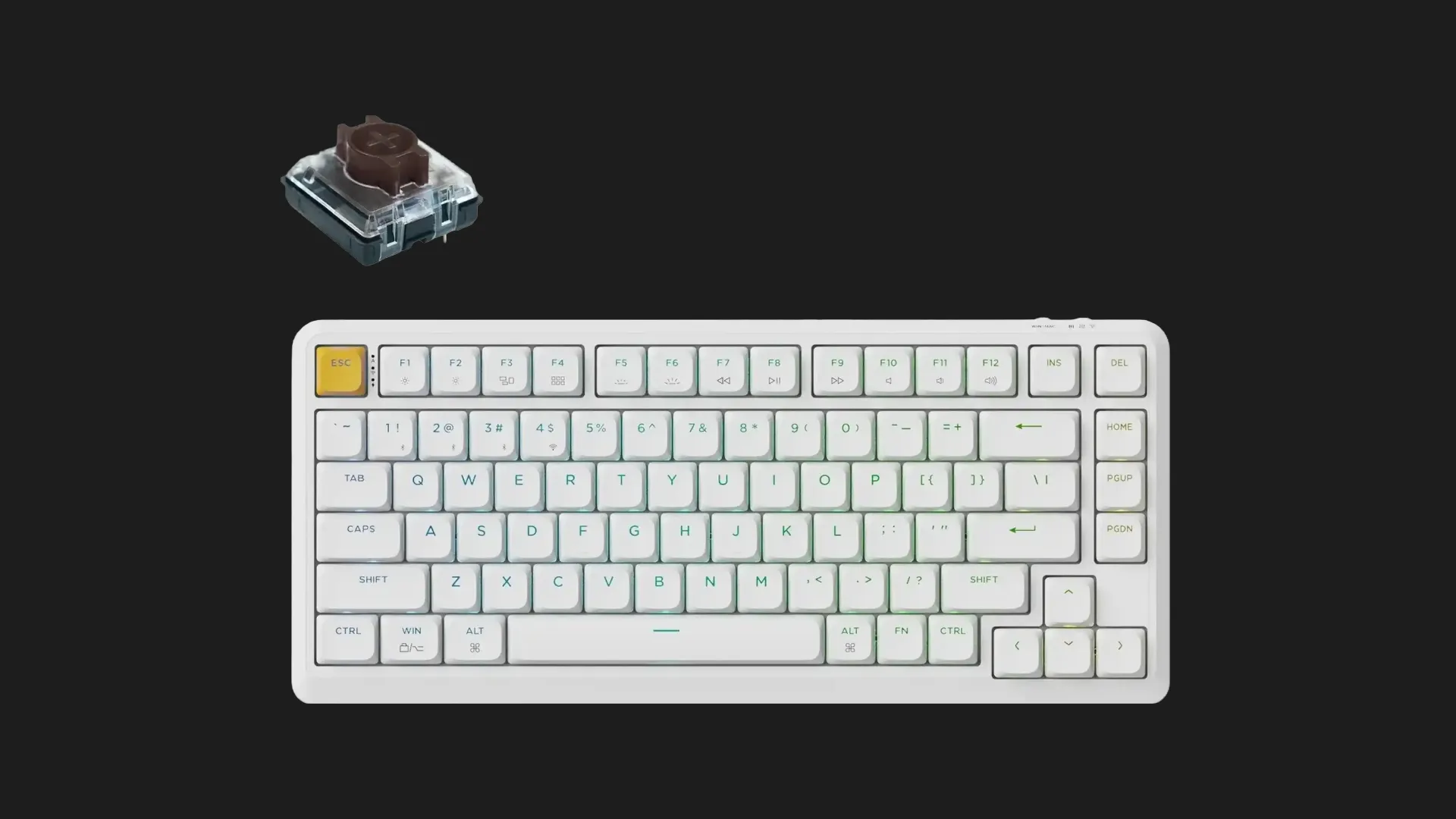 Ігрова клавіатура Keychron J1 82 Key RGB K Pro Brown (White) (J1-Q3-UA)