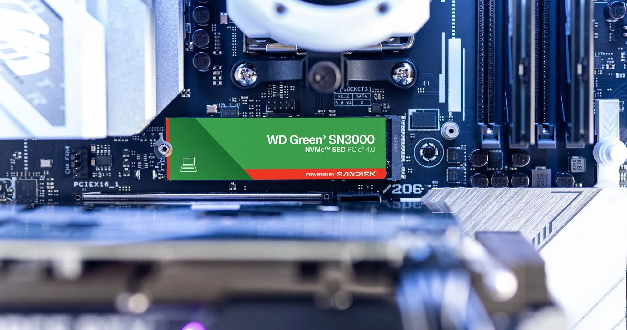 Накопичувач SSD SanDisk SN3000 1TB NVMe PCIe 4.0 (WDS100T4G0E)