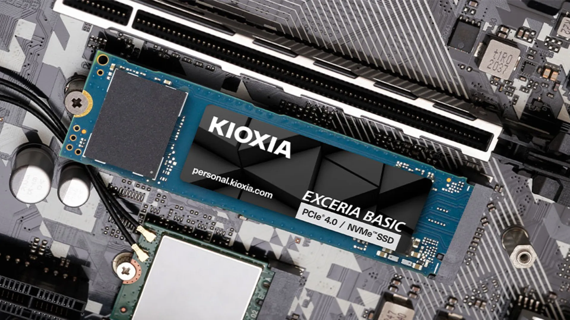 Накопичувач SSD Kioxia Exceria 2TB NVMe PCIe 4.0 (LSF10Z002TG8)