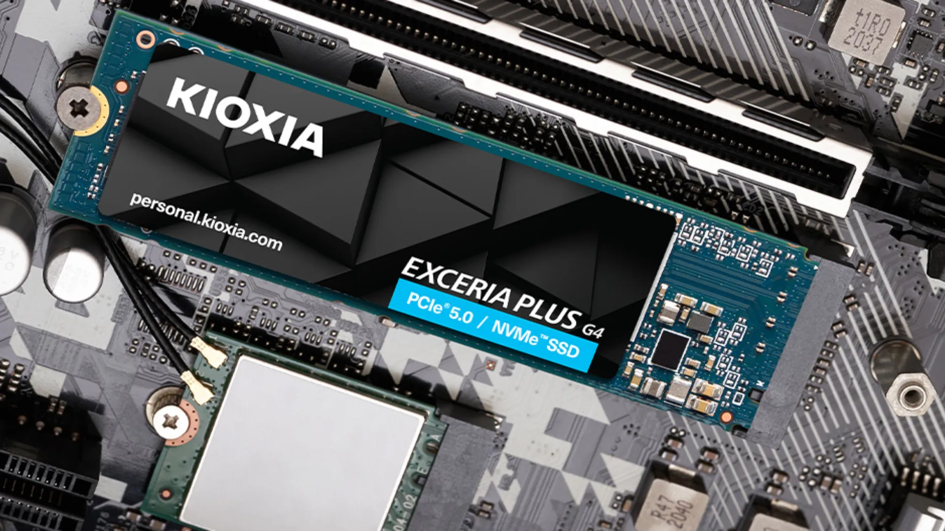 Накопичувач SSD Kioxia Exceria Plus G4 1TB NVMe PCIe 5.0 (LVD10Z001TG8)