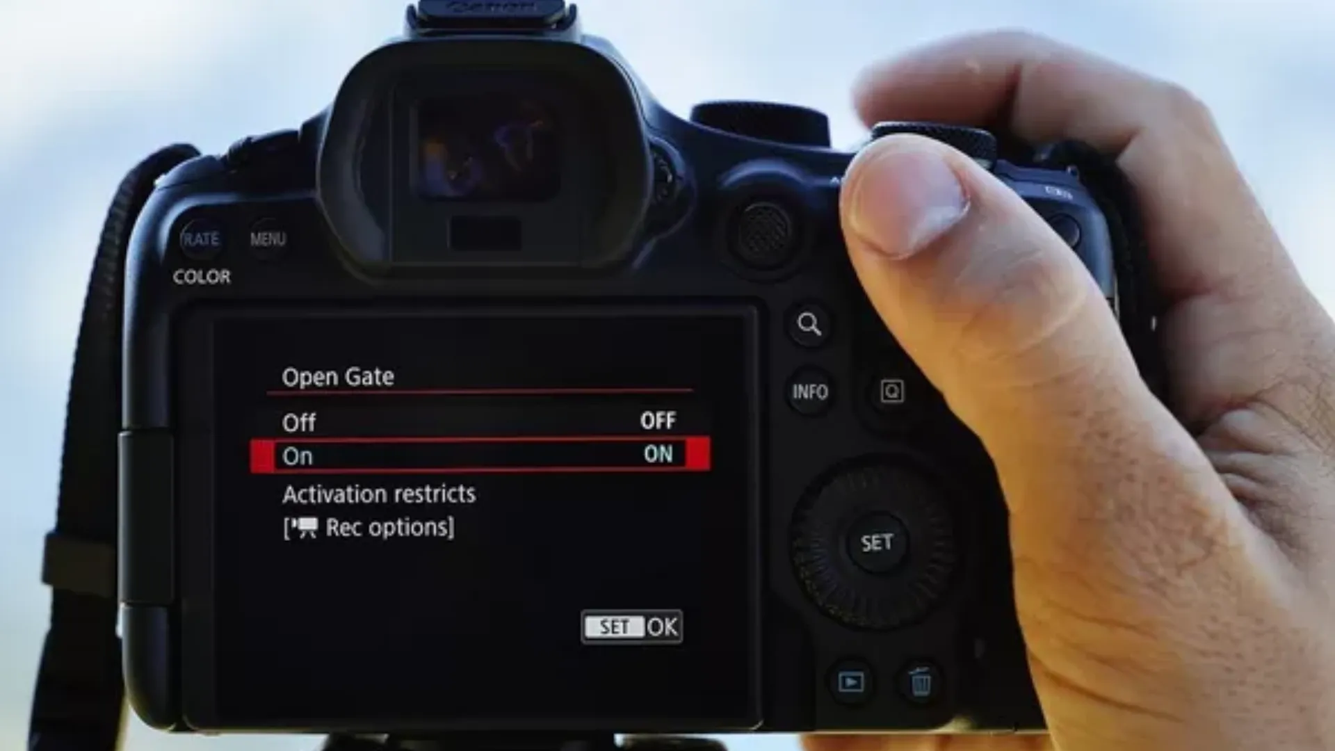 Цифровой фотоаппарат Canon EOS R6 Mark III Body (7084C035) (Standard)