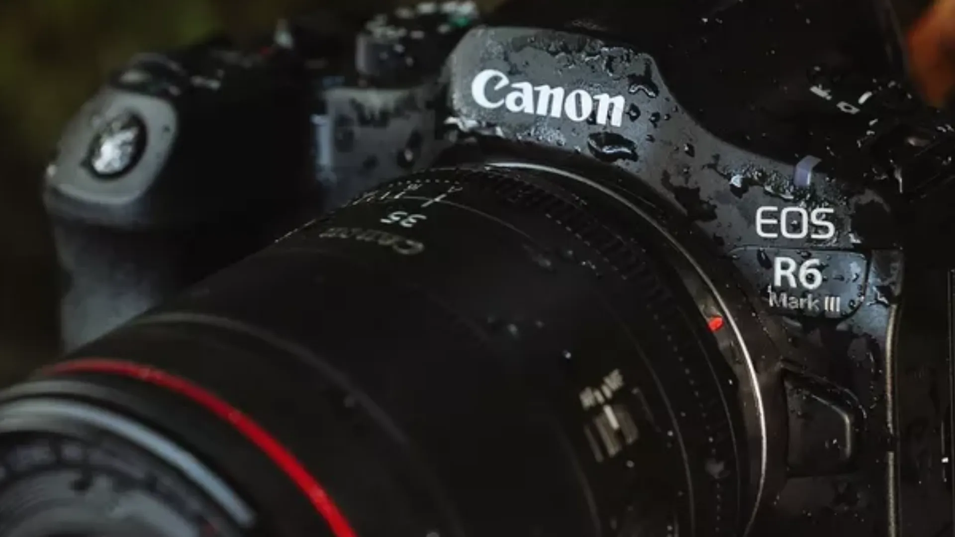 Цифровой фотоаппарат Canon EOS R6 Mark III Body (7084C035) (Standard)