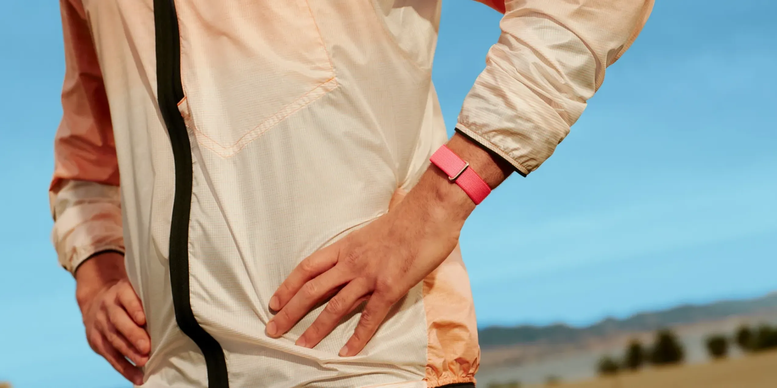 Фитнес-браслет Google Fitbit Air (Rye)