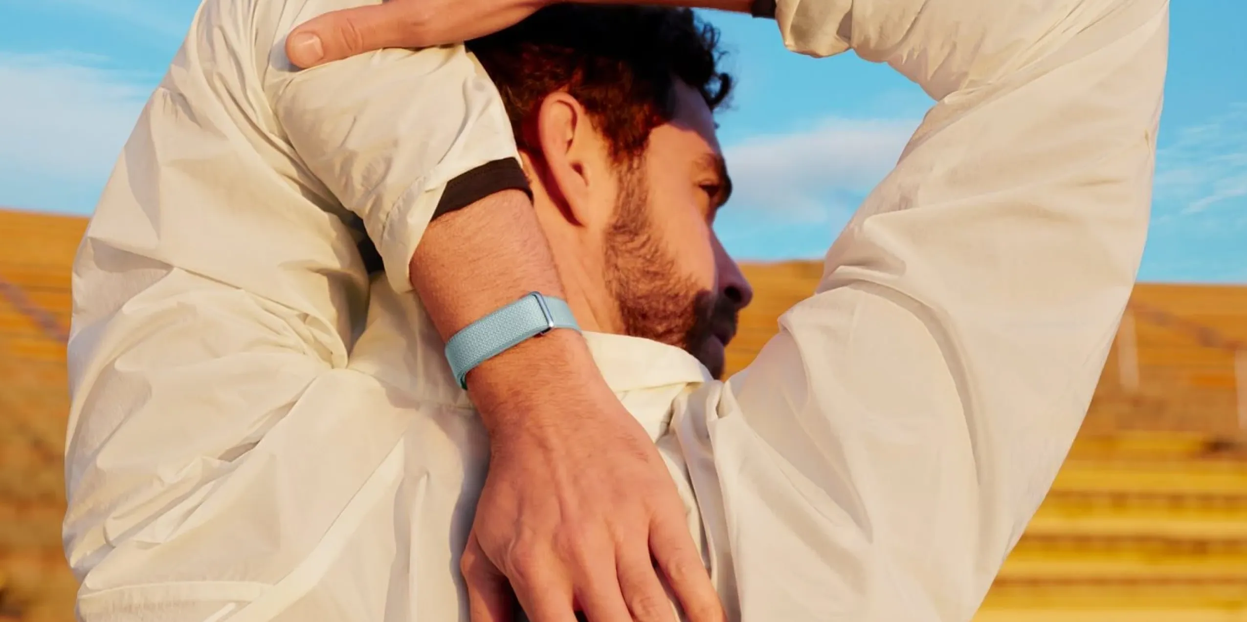 Фитнес-браслет Google Fitbit Air (Rye)