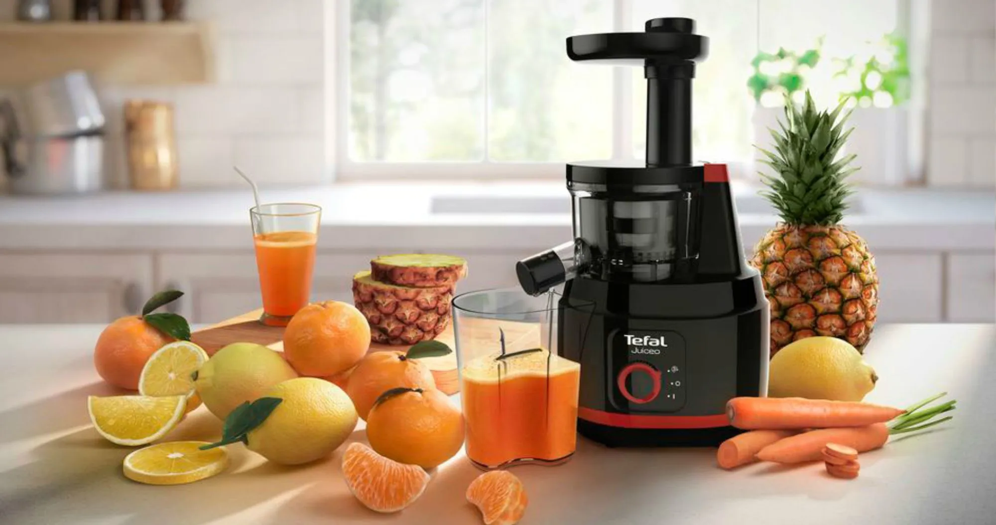 Соковыжималка Tefal ZC150838