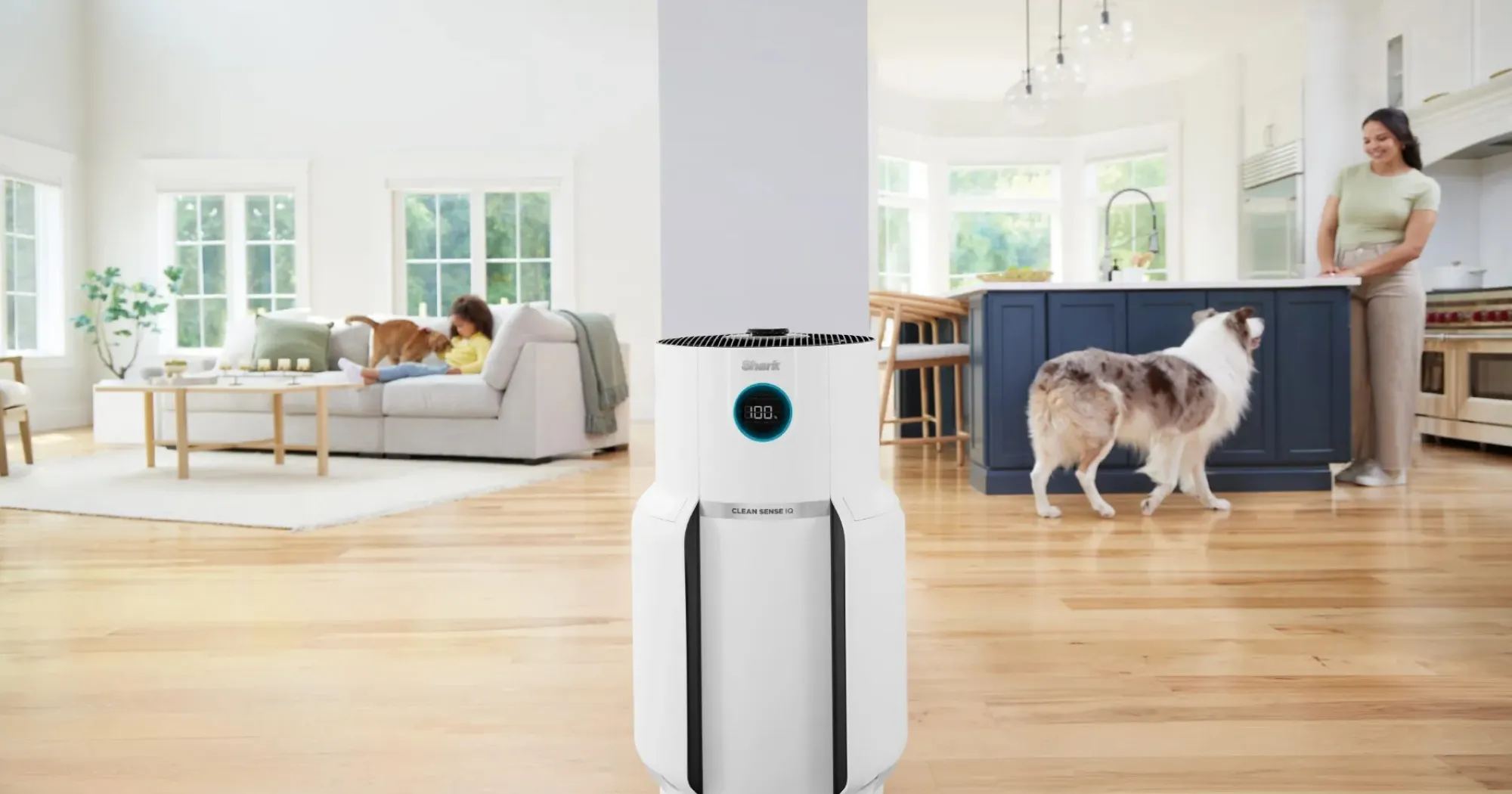 Зволожувачі та очищувачі повітря