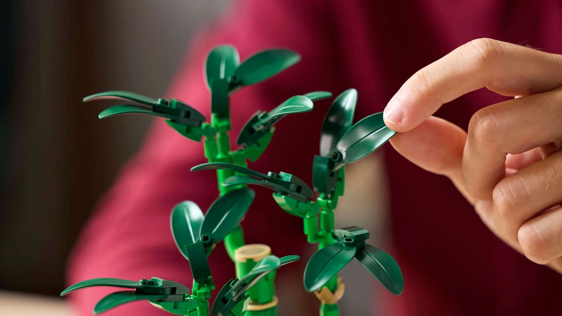 Конструктор LEGO Botanicals Бамбук счастья (10344)