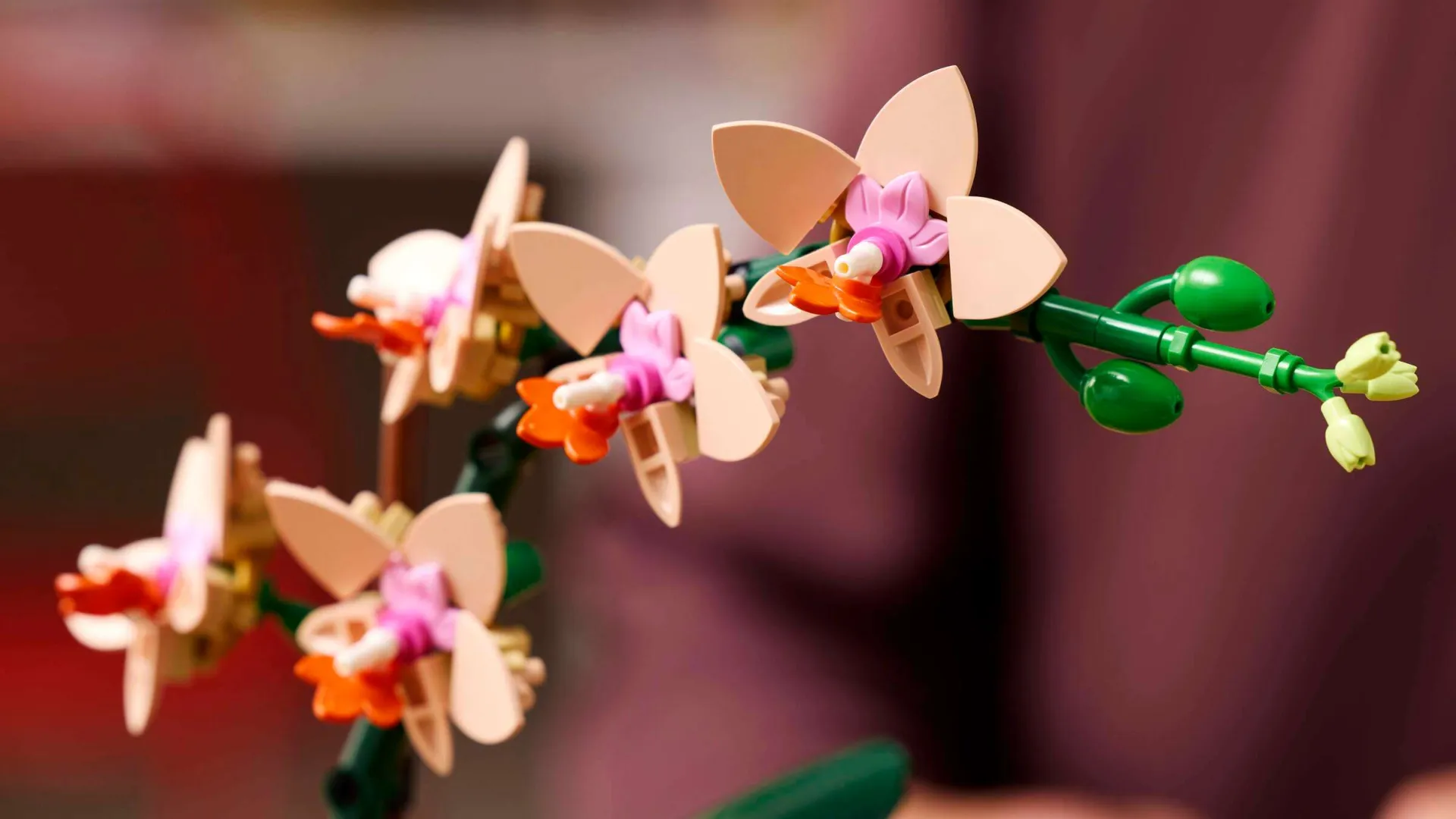 Конструктор LEGO Botanicals Мини-орхидея (10343)