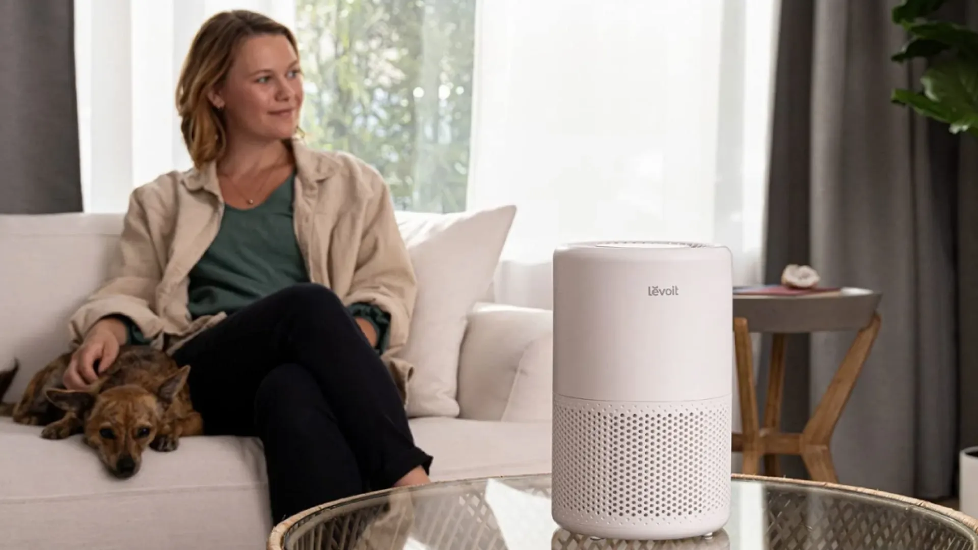 Очиститель воздуха Levoit Smart Core 200S (White) (HEAPAPLVSEU0064)