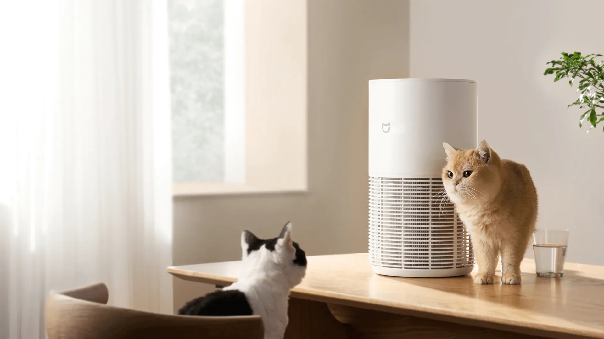 Очиститель воздуха Xiaomi Smart Pet Care (White) (EU) (980407)