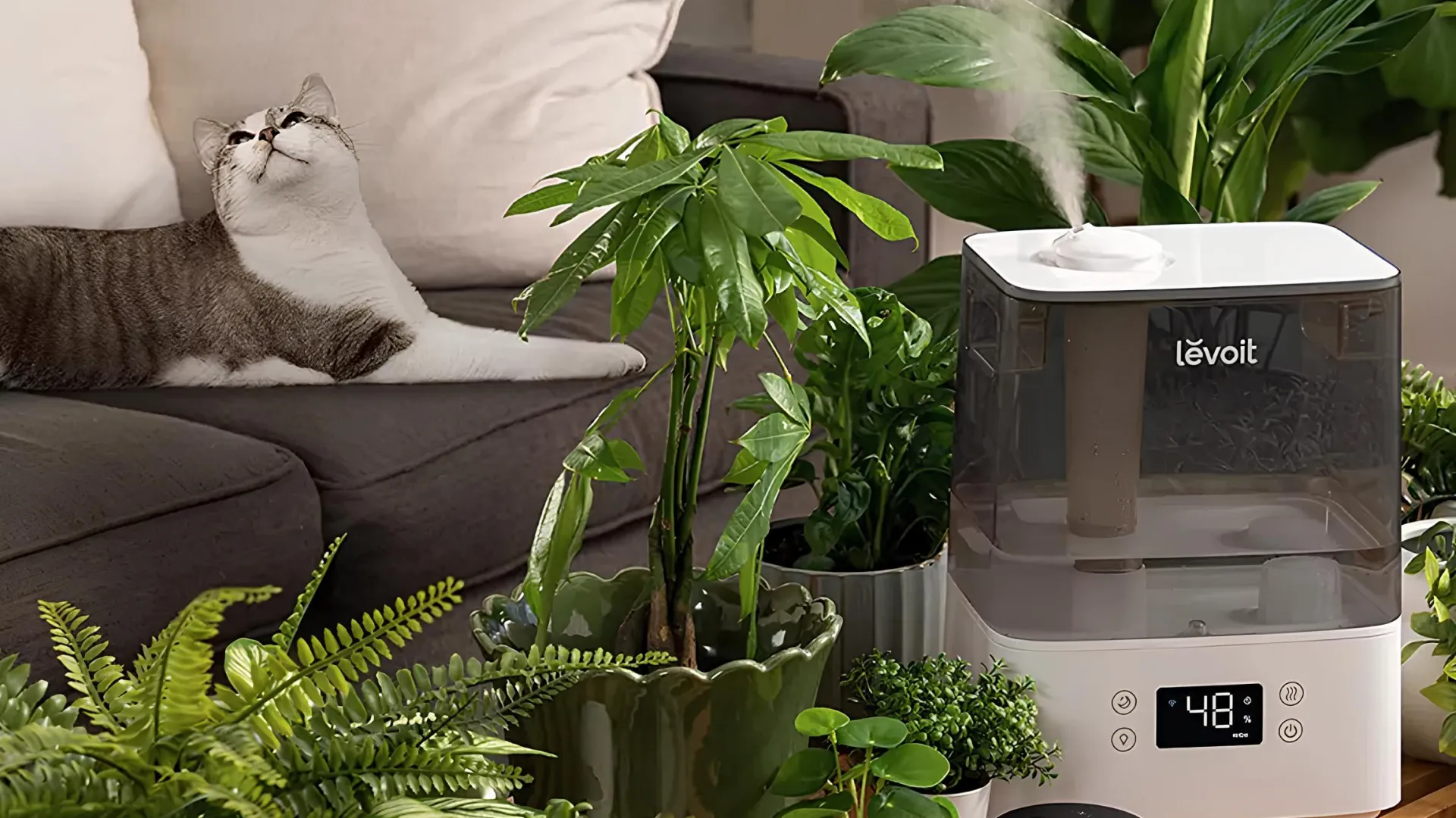 Зволожувач повітря Levoit Smart Ultrasonic Humidifier Classic 300S (HEAPHULVSEU0034) (White)
