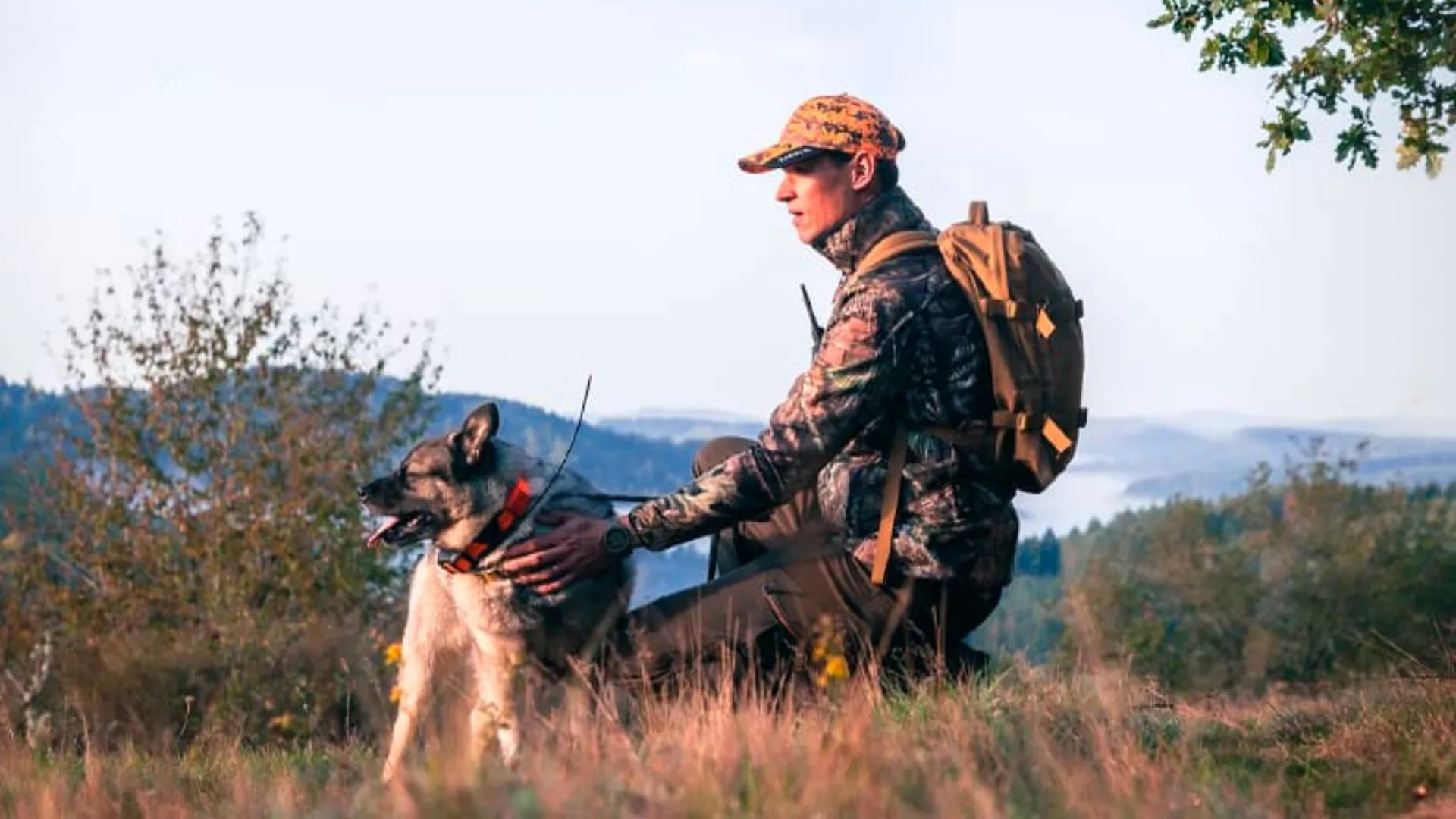 Нашийник з GPS-трекером Garmin Alpha T 20 K (010-04149-01)