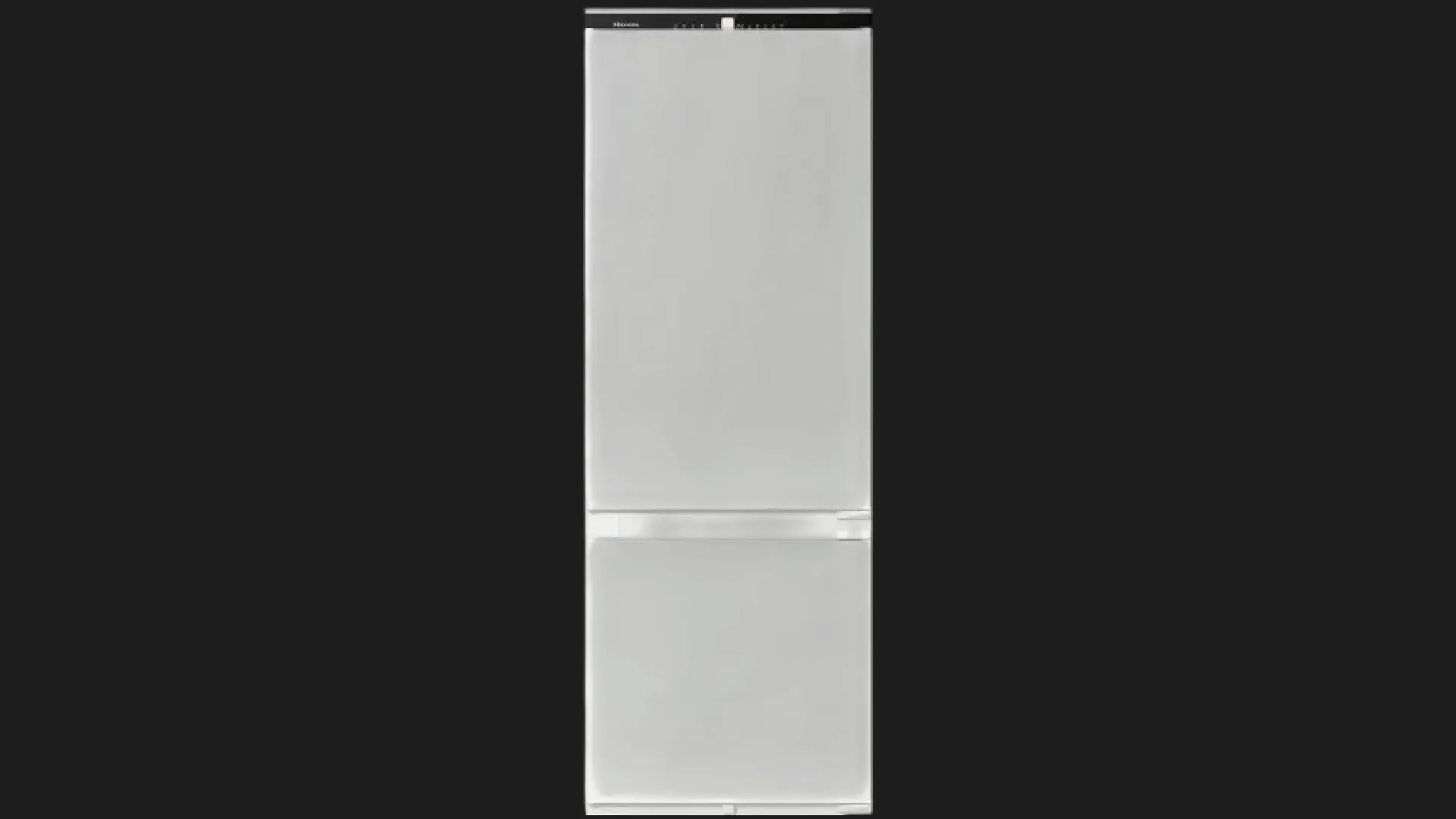 Холодильник вбудований Hisense RB3B370SAWD1