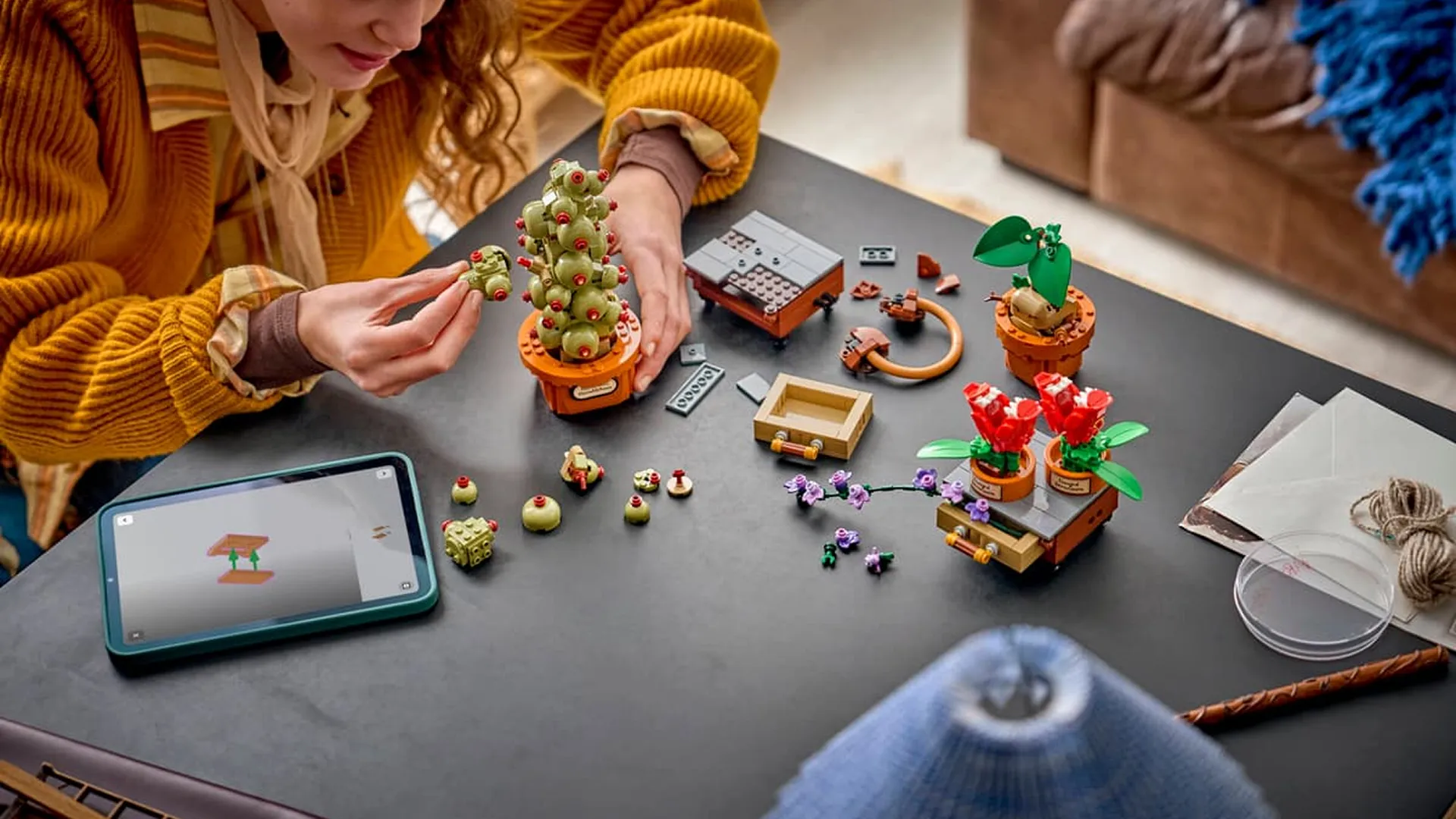Конструктор LEGO Harry Potter Рослини з курсу гербології (76474)