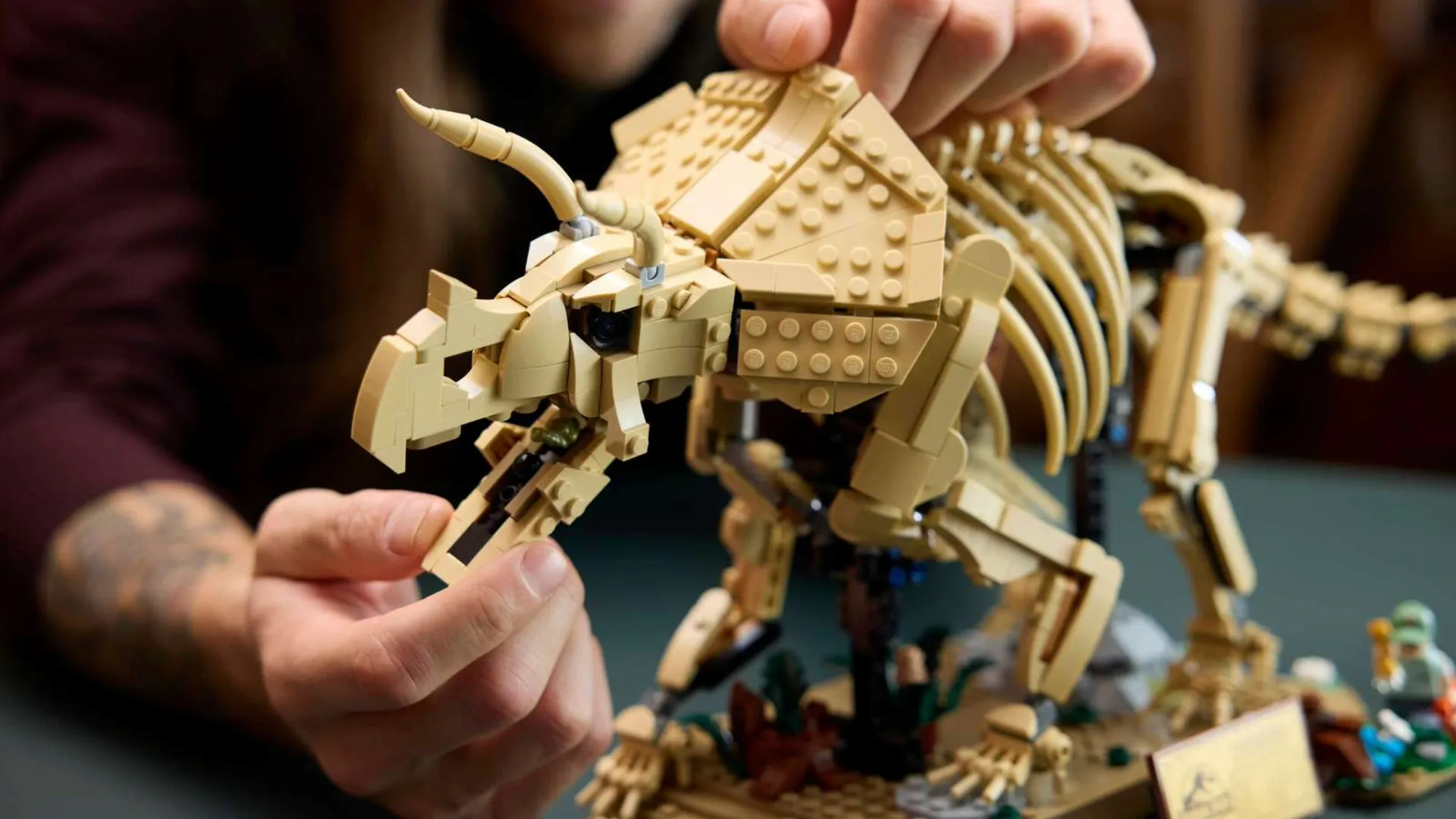 Конструктор LEGO Jurassic World Окаменелости динозавров: трицератопс (77985)