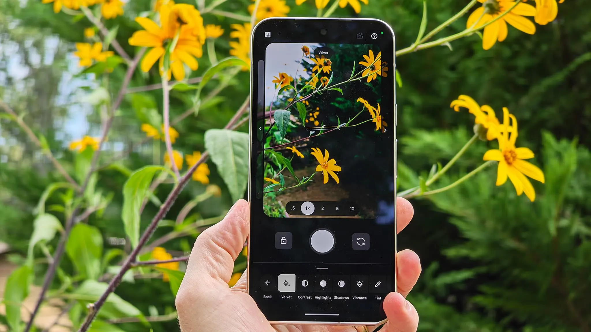 Google Pixel 11 екран