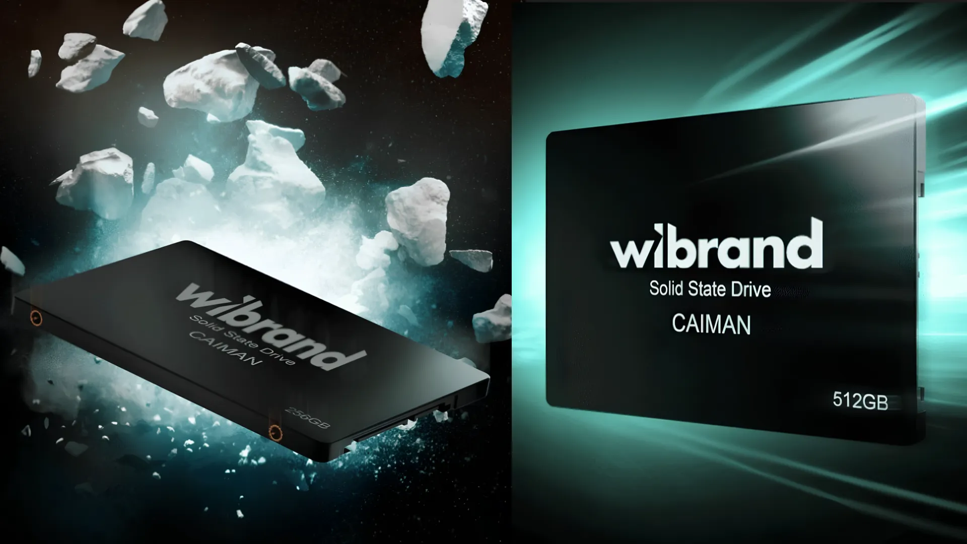 SSD накопитель Wibrand Spider 480GB 2.5 (WI2.5SSD/SP480GBST)