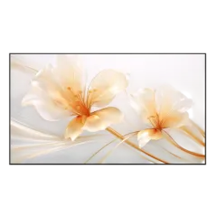 Проекційні екрани