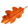 Сезон скидок