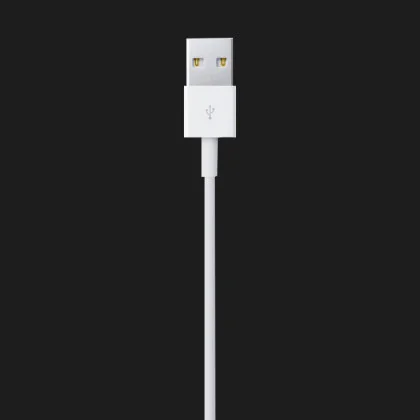 Оригінальний Apple Lightning to USB кабель 2 m (MD819) в Нетішині