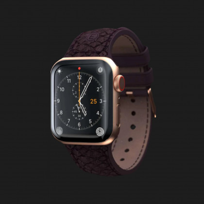 Ремінець Elements Njord Salmon Leather Strap для Apple Watch 42/44/45/49mm (Rust) (SL14123) в Полтаві