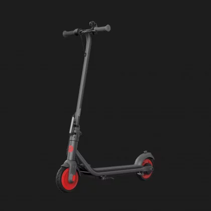 Электросамокат Ninebot by Segway eKickScooter ZING C20 (Black) в Владимире