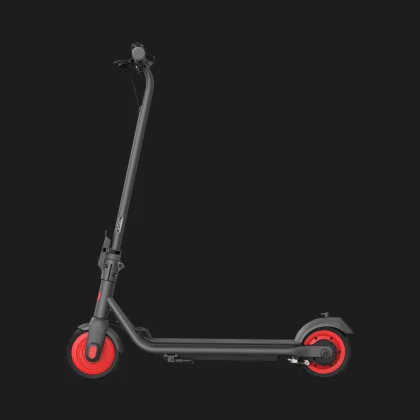 Електросамокат Ninebot by Segway eKickScooter ZING C20 (Black) в Новому Роздолі