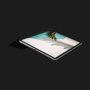 Чехол Macally Protective Case and Stand для iPad Air 5/4, Pro 11 (2022-2018) (Black) в Кропивницком