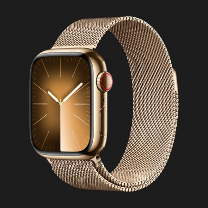 Apple Watch Series 9 41mm GPS + LTE, Gold Stainless Steel Case with Gold Milanese Loop (MRJ73) в Мукачево