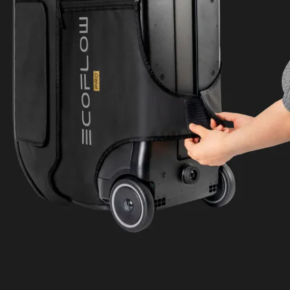 Сумка EcoFlow DELTA Pro Bag