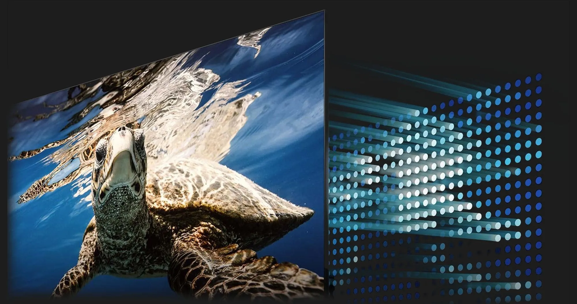 Купити Телевізор Samsung QE55QN85C (EU) — ціни ⚡, відгуки ⚡ ...