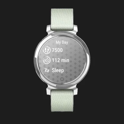 Garmin Lily 2 Classic Silver with Sage Gray Nylon Band