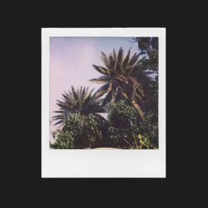 Фотопапір Polaroid Color Film 600 в Бродах