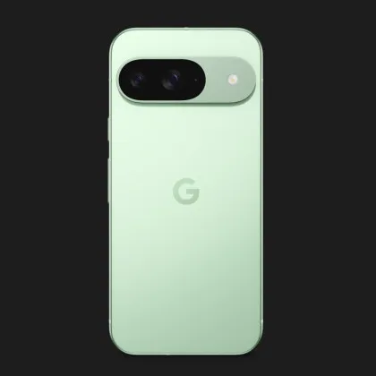 Google Pixel 9 12/128GB (Wintergreen) в Бердичеві