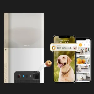 Інтерактивна HD камера Petcube Bites 2 Lite (Silver) в Дрогобичі