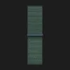 Apple Watch Series 10 GPS 42mm Silver Aluminum Case with Lake Green Sport Loop