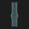 Apple Watch Series 10 GPS, 46mm Jet Black Aluminum Case with Lake Green Sport Band (М/L)