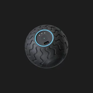 Набор для массажа PRO GYM ZONE BASIC в Александрии