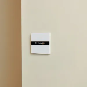 Выключатель с дисплеем Aqara V1 (White) в Сваляве