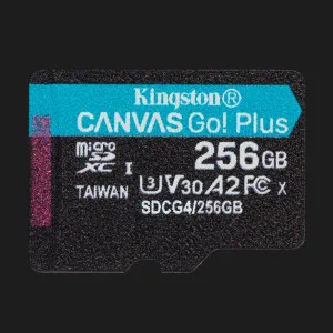 Карта пам'яті Kingston Canvas Go Plus 256GB (SDCG4/256GBSP) в Хмельницькому