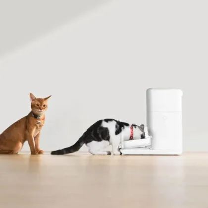 Смарт кормушка CATLINK Automatic Feeder Fresh 2 Standard (6972884750941)