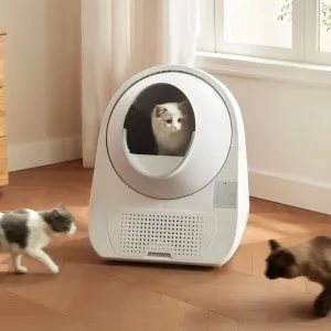 Смарт автоматичний лоток CATLINK Scooper Standard Pro-X (6972884750699) в Чернівцях